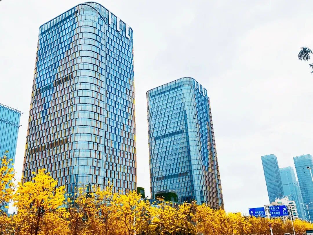 2021▶▶2022 | 新岁序开，同赴新程，构筑美好，未来可期